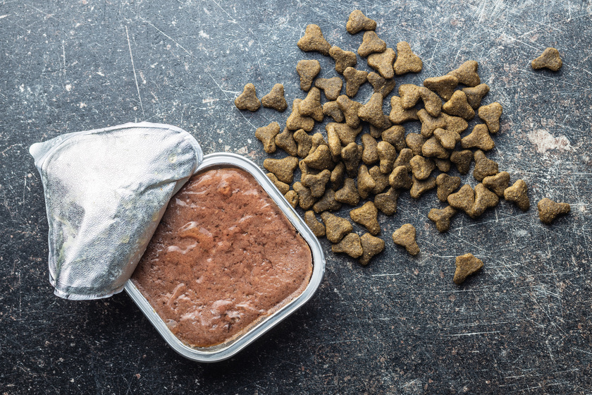 wet-pet-food-cat-or-dog-pate-7EZKDQ3_1_1